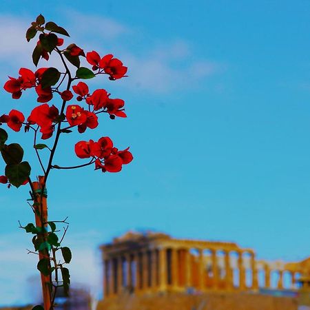 Absolute Athens Acropolis View Aparthotel Εξωτερικό φωτογραφία