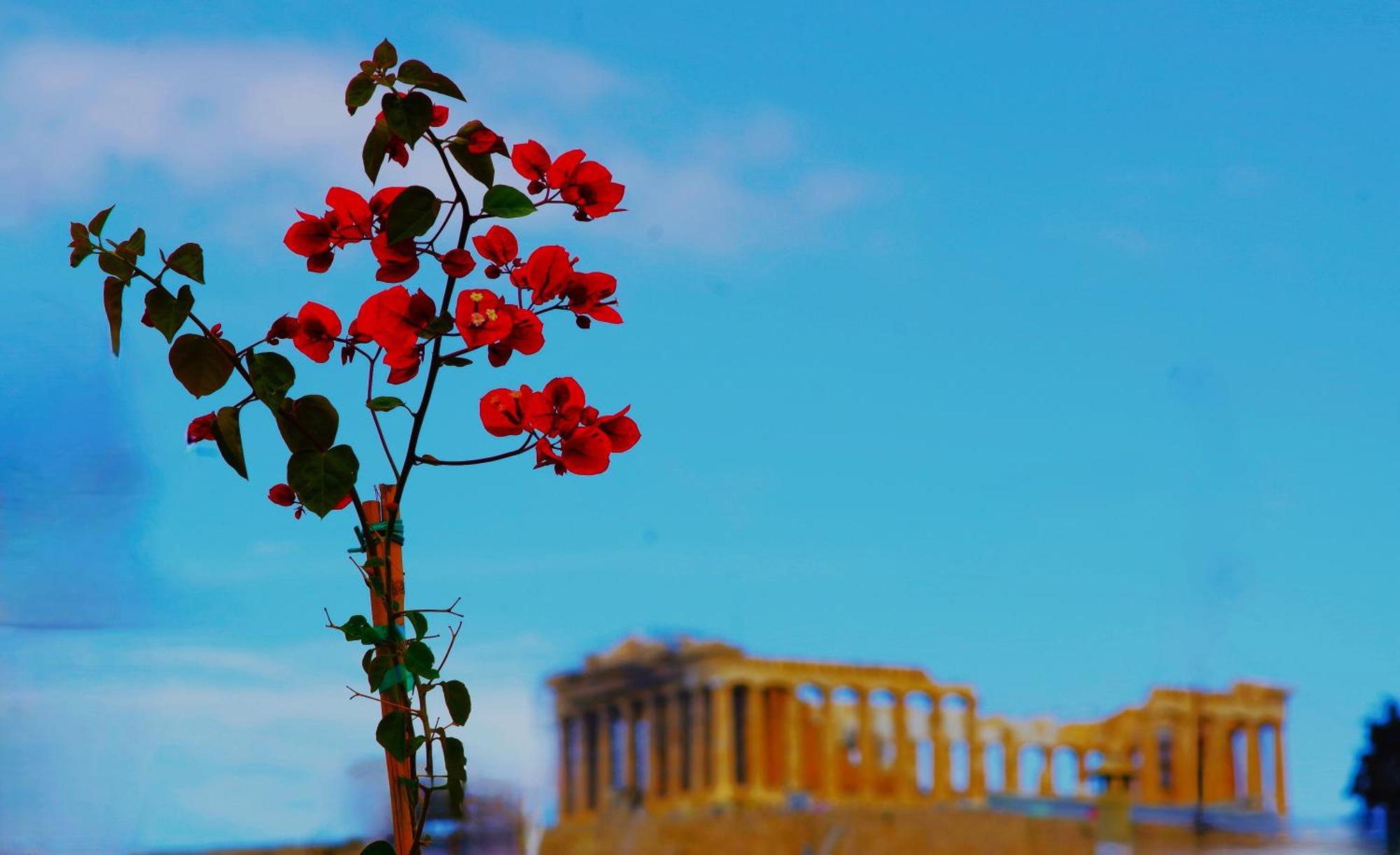 Absolute Athens Acropolis View Aparthotel Εξωτερικό φωτογραφία